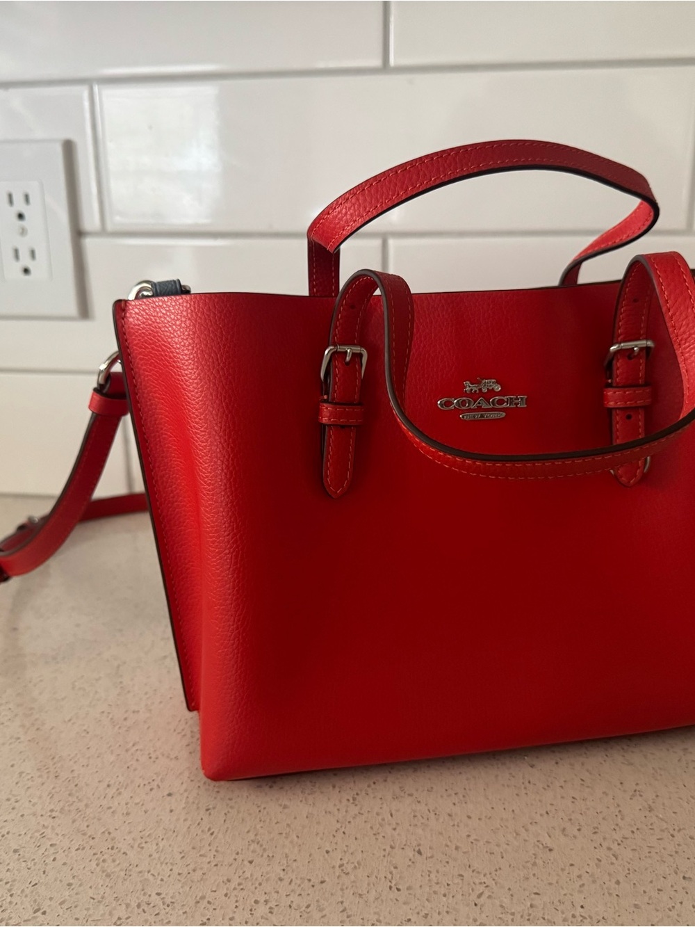 COACH Red Leather Mollie - Mini Tote Bag